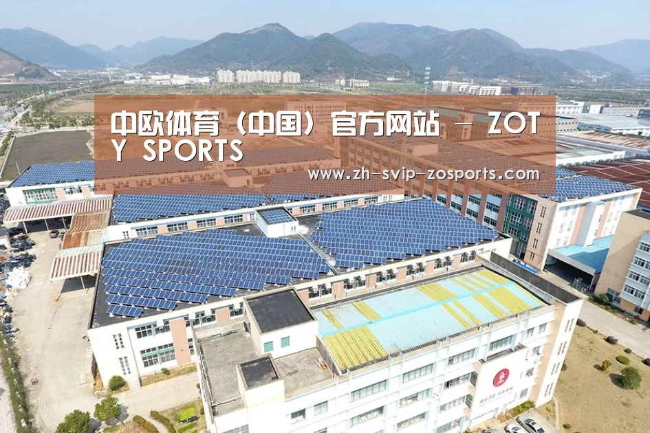 案例展示二