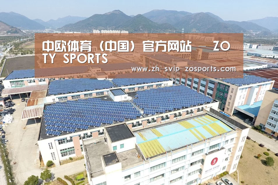 案例展示四