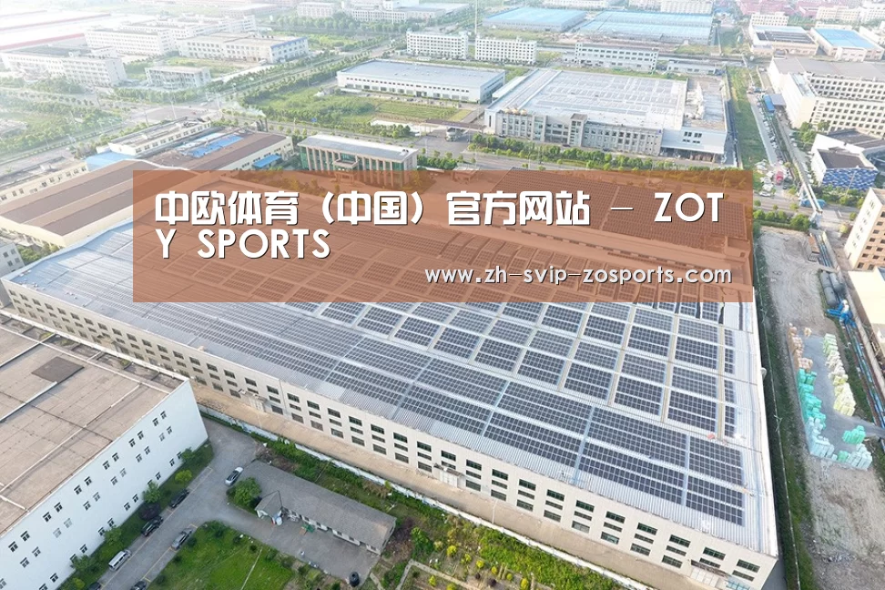 案例展示三