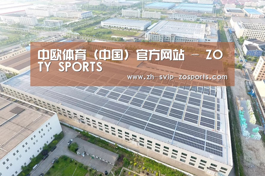 案例展示四
