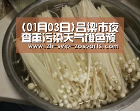 (01月03日)吕梁市夜查重污染天气橙色预警响应措施落实情况|中欧体育官网入口,中欧体育官方下载,中欧体育平台(图2) 中欧体育官网入口,中欧体育官方下载,中欧体育平台