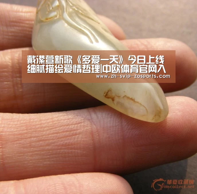 中欧体育官网入口，中欧体育官方下载，中欧体育平台