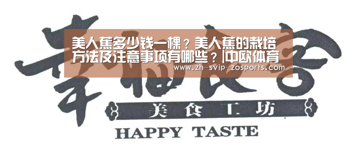 中欧体育官网入口，中欧体育官方下载，中欧体育平台